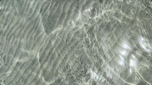 Picture of Maikranz & Avanessian